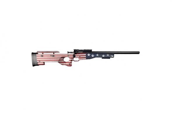 crickett, precision rifle, bolt action, 22 lr, 16.1" barrel, black, old glory stock, right hand, 1 round capacity