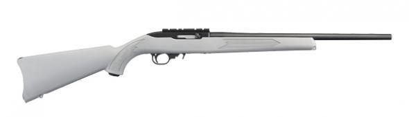 10/22 carbine