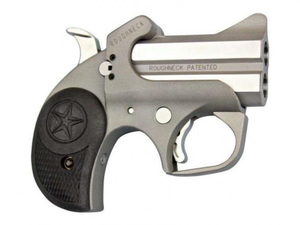 bond arms roughneck 380acp, 2.5" barrel, stainless steel