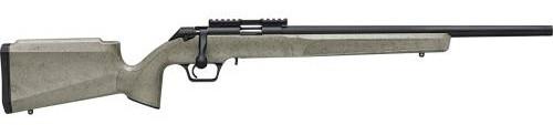 springfield armory, 2020 rimfire target, 22lr, 20" barrel, blued finish, sage green with black webbing stock, 10 rounds