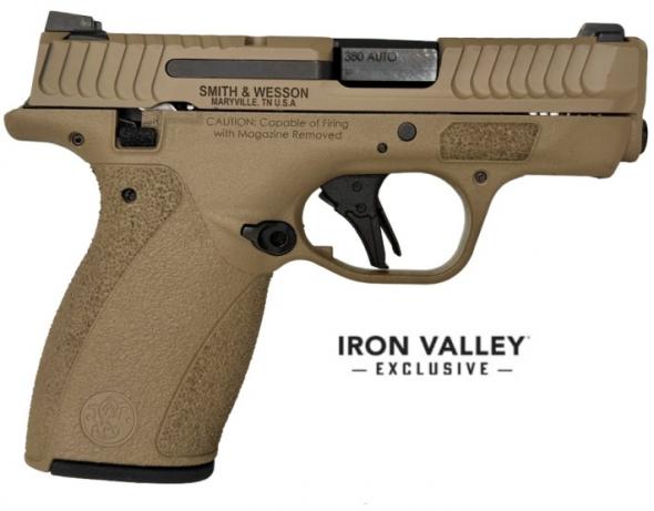 m&p bodyguard 2.0 380acp 2.75" ts fde 10&12rd ivs