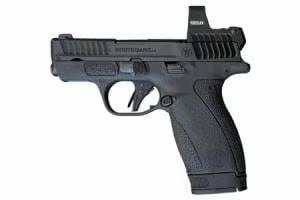 s&w bodyguard 2.0 rfx1 sight 380acp 10/12 rd mag no safety