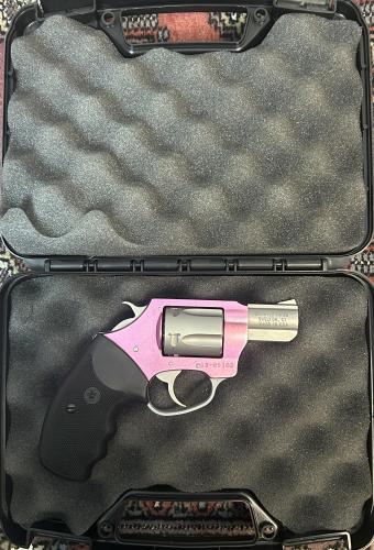 charter arms pink lady .38 26080136