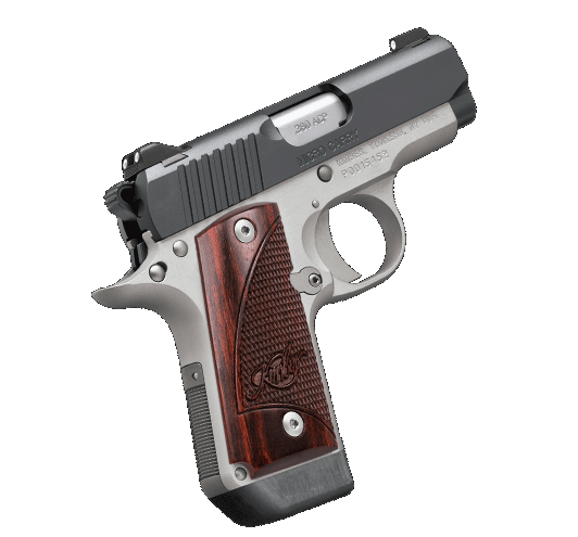 Gunwatcher Deal