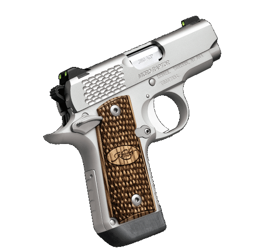 kimber, micro raptor stainless, semi-auto, 380 acp, 2.75" barrel, 7+1 round, tritium night sights, zebrawood grips